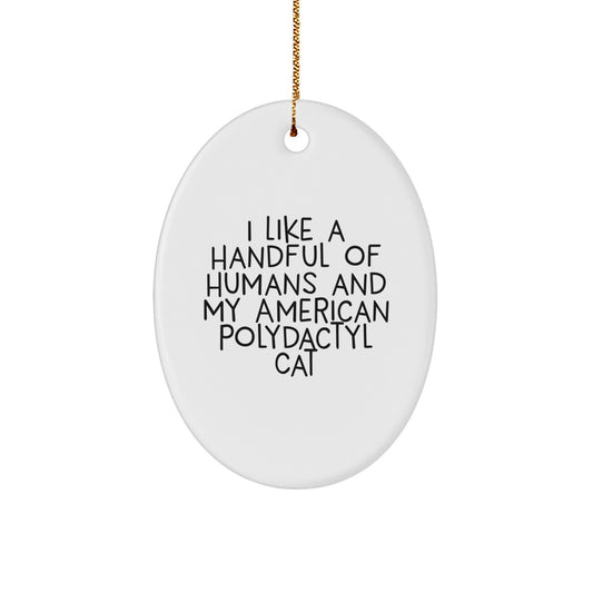 American Polydactyl Cat Oval Ornament Gifts from Friends and Family for Christmas Unique Decorations - Image 1