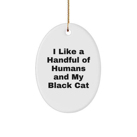 Funny Black Cat Oval Ornament Gifts from Men to Friends for Christmas - Image 1