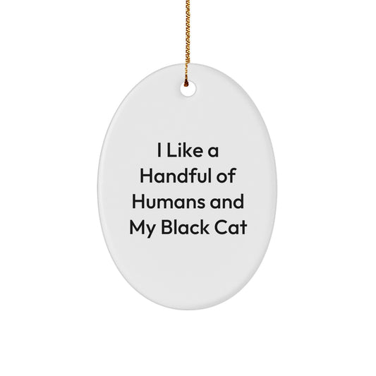 Black Cat Christmas Oval Ornament Funny Quote Gifts from Men to Friends - Image 1