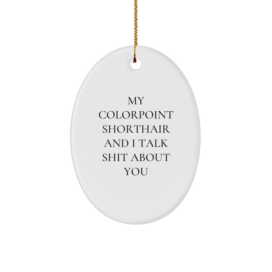 Funny Colorpoint Shorthair Cat Oval Ornament Gifts from Friends for Colorpoint Shorthair Cat Lovers, Christmas Unique Gifts - Image 1