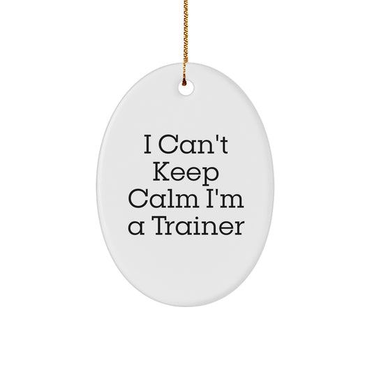 Funny I Can't Keep Calm I'm A Trainer Oval Ornament Gifts for Trainer from Family - Image 1