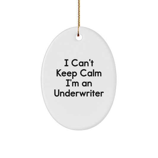 Funny Underwriter Oval Ornaments, I'm An Underwriter Gifts for Office, Christmas Unique Gifts from Friends to Coworkers - Image 1