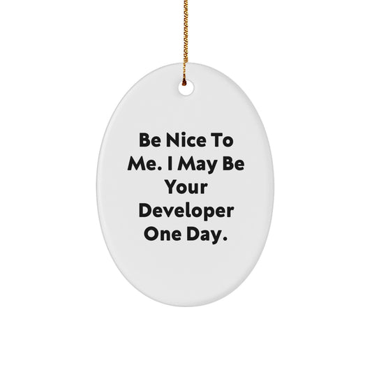 Funny Developer Gifts Oval Ornament Be Nice To Me One Day Unique Christmas - Image 1