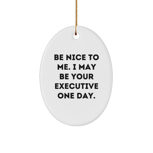 Funny Oval Ornament Gifts from Friends and Family to Executive Men and Women - Be Nice To Me - Image 1