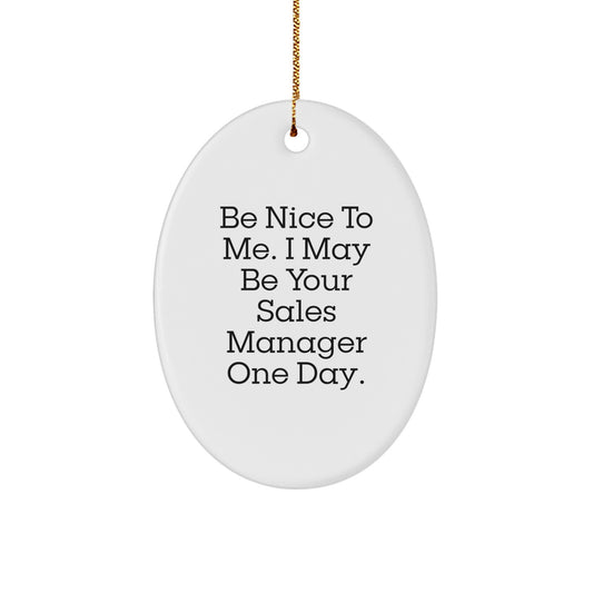 Funny Sales Manager Gifts from Friends, Oval Ornament, Be Nice To Me I May Be Your Sales Manager One Day, Christmas Unique Gifts for Sales Manager - Image 1