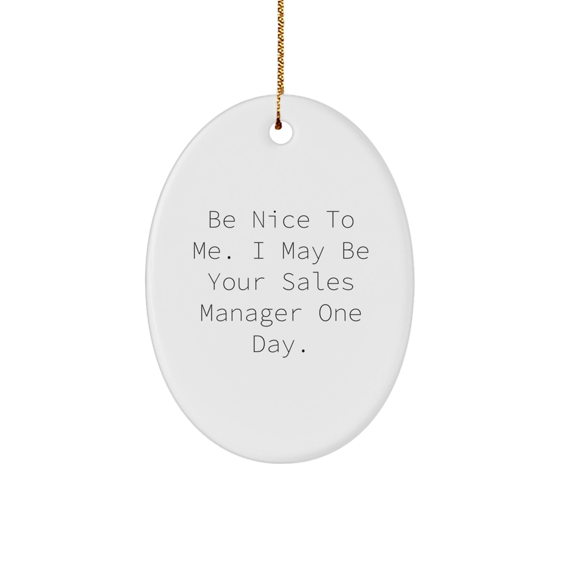 Funny Sales Manager Gifts, Oval Ornament, 'Be Nice To Me' Quote for Men, Women, Friends, Coworkers, Family Members, Christmas Unique Decorations - Image 1