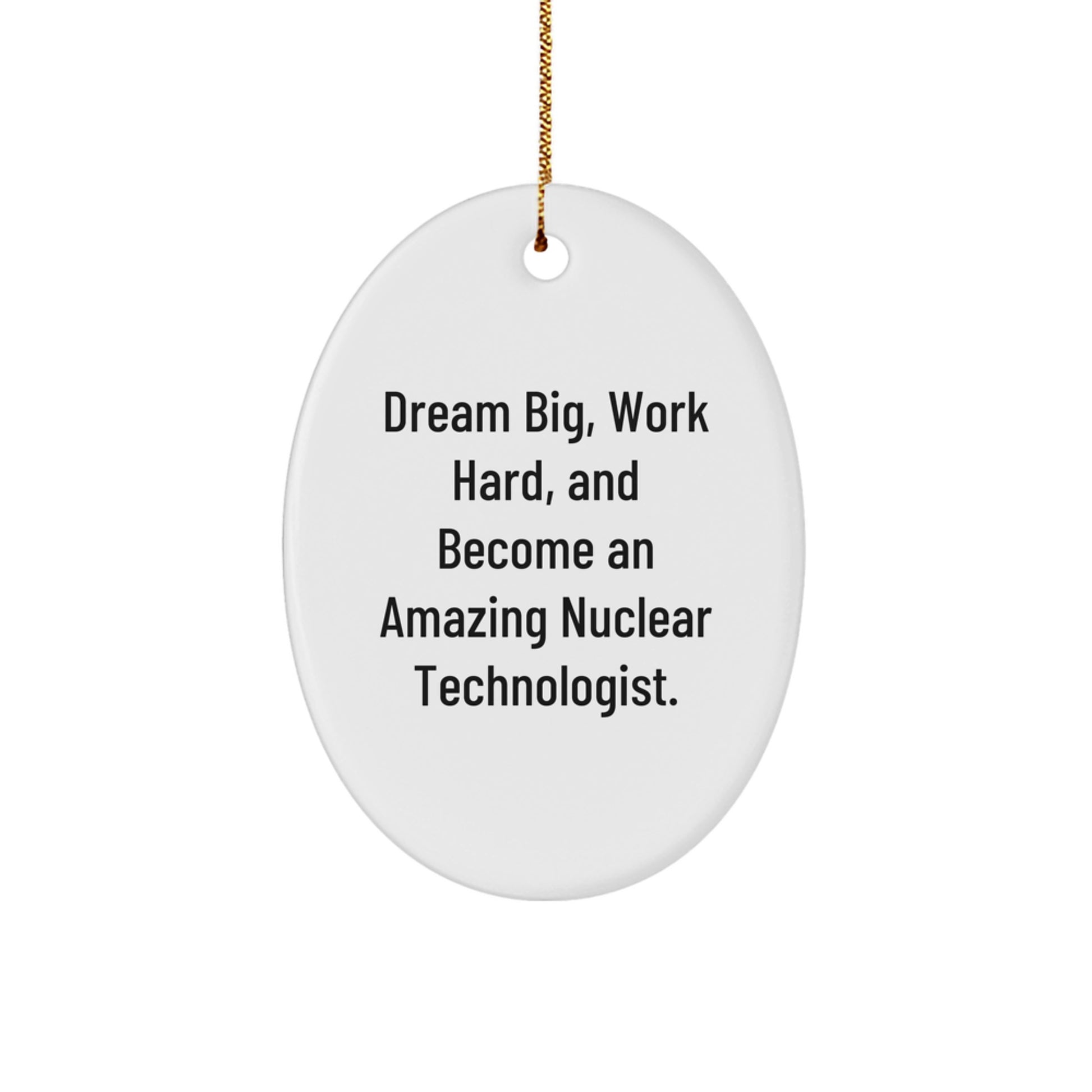 Funny Nuclear Technologist Gifts from Dad, 'Dream Big, Work Hard' Oval Ornament for Nuclear Technologist Friends during Christmas Unique Gifts - Image 1