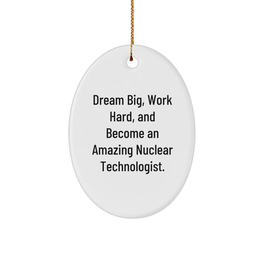 Funny Nuclear Technologist Gifts from Dad, 'Dream Big, Work Hard' Oval Ornament for Nuclear Technologist Friends during Christmas Unique Gifts - Image 1