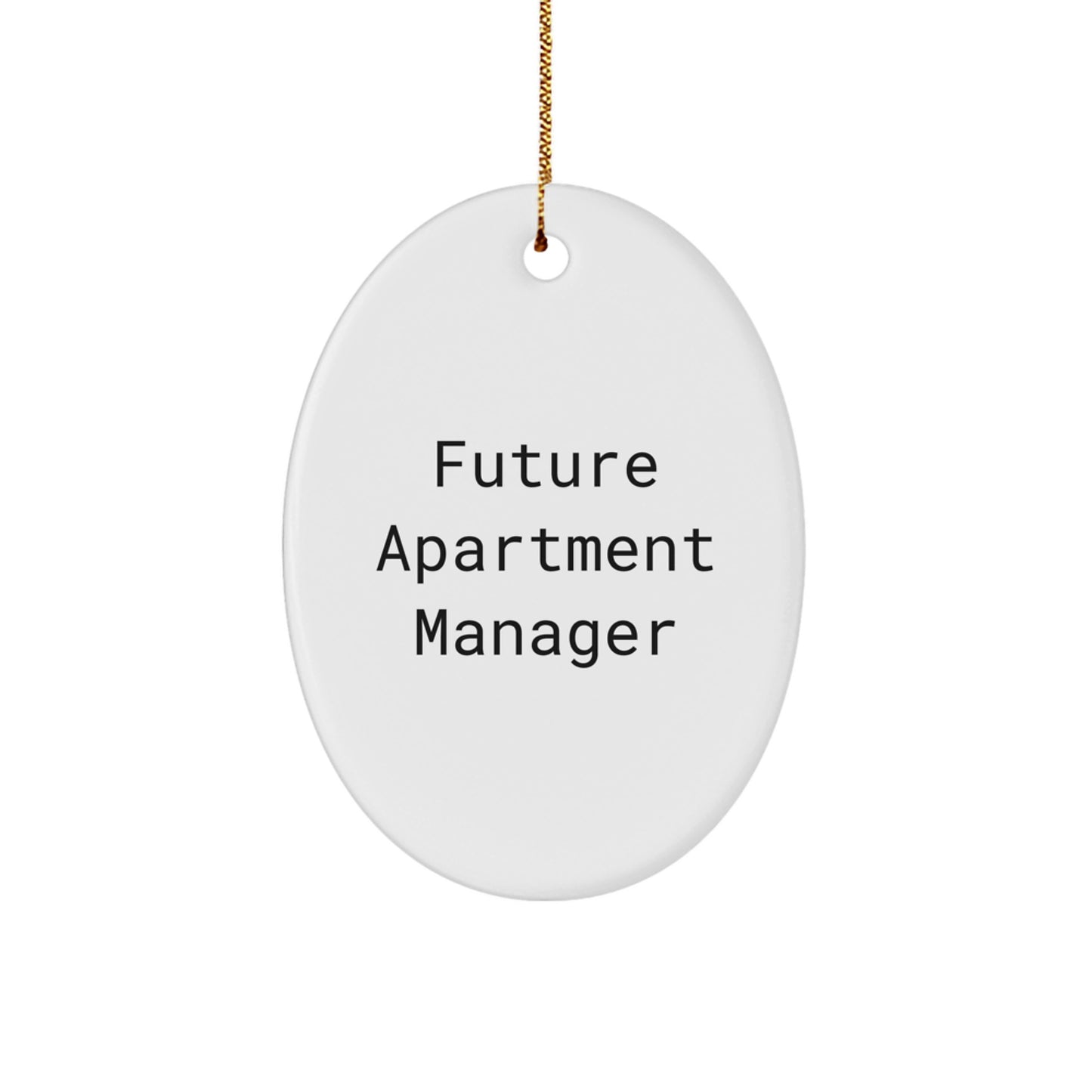 Funny Future Apartment Manager Oval Ornament Gifts from Friends and Family for Christmas Unique Decorations - Image 1