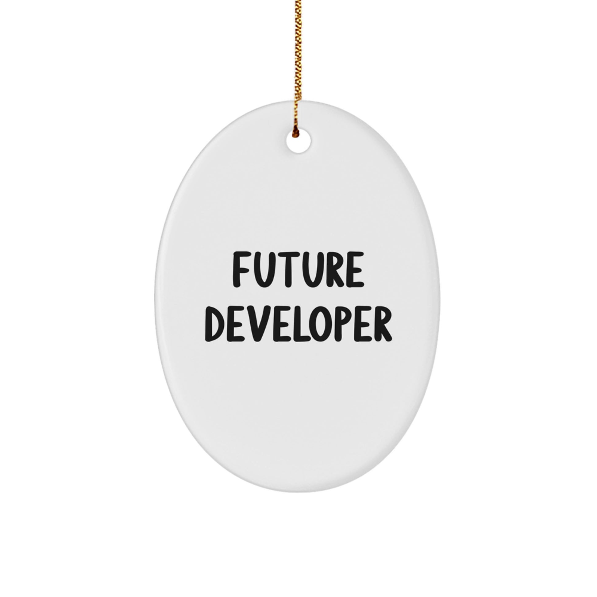 Funny Future Developer Oval Ornament, Gifts from Men to Friends for Developer, Unique Christmas Unique Gifts for Friends of Future Coders, Oval Shaped MDF Wood Christmas Decoration - Image 1