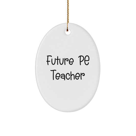 Funny Quote PE Teacher Oval Ornament Gifts from Friends for Christmas Unique - Image 1