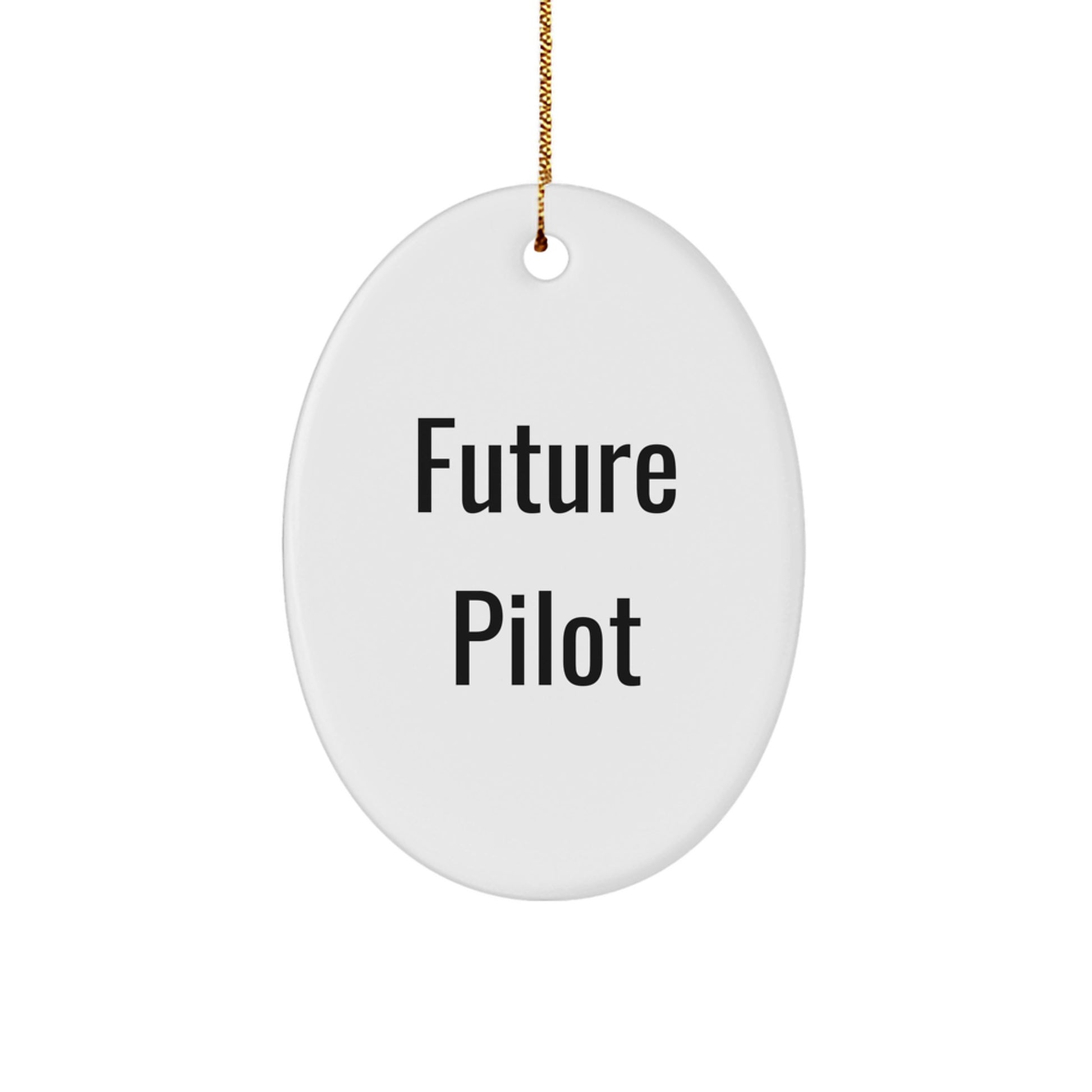 Funny Pilot Gifts for Future Pilot Men Oval Ornament, Gifts from Men, Unique Christmas Unique Gifts for Him - Image 1