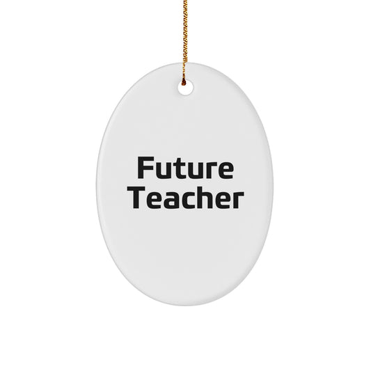 Funny Teacher Gifts from Friends - 'Future Teacher' Oval Ornament for Christmas Unique Gifts - Image 1