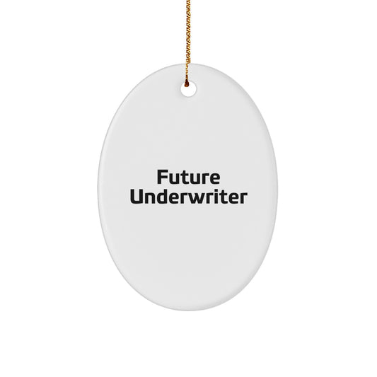 Funny Future Underwriter Oval Ornament, Gifts from Men to Underwriter, Unique Christmas Unique Gifts for Underwriter, Oval Shape, White, Sublimation Printing - Image 1