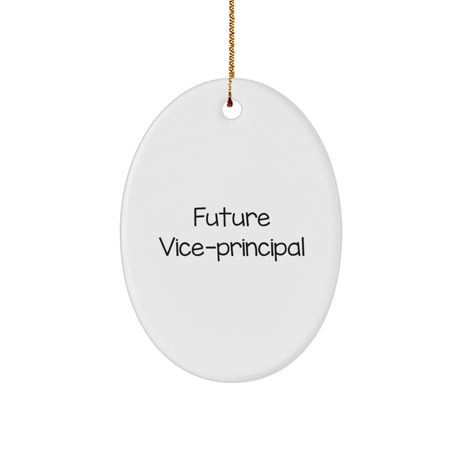 Funny Vice-principal Gifts from Friends - Oval Ornament for Future Vice-principal - Christmas Unique Gifts - Image 1