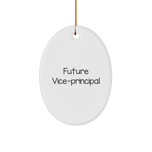 Funny Vice-principal Gifts from Friends - Oval Ornament for Future Vice-principal - Christmas Unique Gifts - Image 1