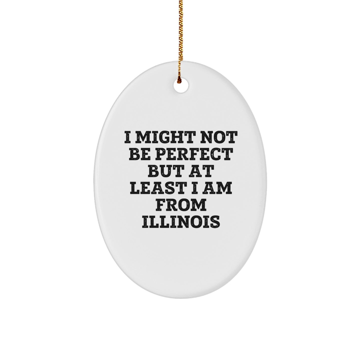 Funny Illinois Oval Ornament Gifts from Men to Women for Friends, Family, or Coworkers - I Might Not Be Perfect - Image 1