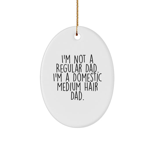 Funny Domestic Medium Hair Cat Gifts for Dad - Gifts from Men to Domestic Medium Hair Cat Lovers, Oval Ornament, Holiday Christmas Unique Gifts - Image 1