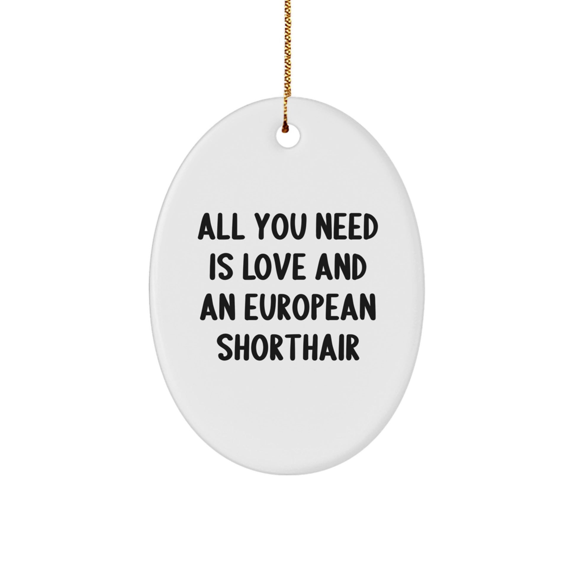 European Shorthair Cat Gifts from Family - All You Need Is Love And An Oval Ornament for Christmas - Image 1