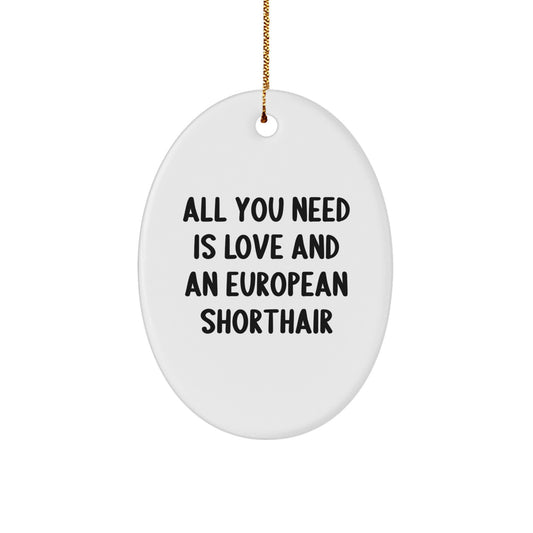 European Shorthair Cat Gifts from Family - All You Need Is Love And An Oval Ornament for Christmas - Image 1