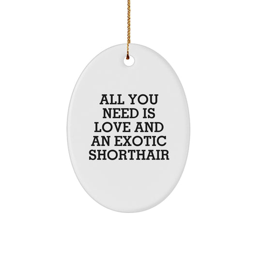 Exotic Shorthair Cat Lovers Christmas Oval Ornament Gifts from Family Friends - Image 1