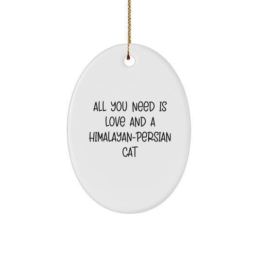 Funny Himalayan-Persian Cat Gifts Oval Ornament for Christmas Unique Presents from Friends to Family Members - Image 1