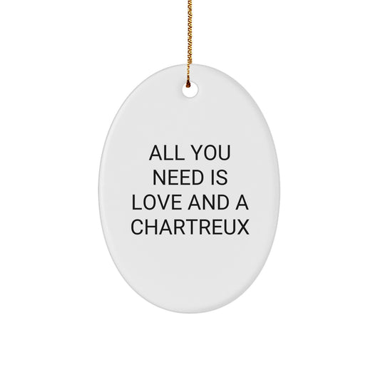 Funny Chartreux Cat Oval Ornament Gifts from Friends for Christmas Unique Presents - Image 1