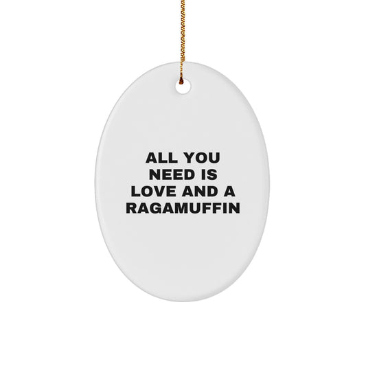 Funny Ragamuffin Cat Oval Ornament Gifts from Family for Christmas Unique Presents - Image 1