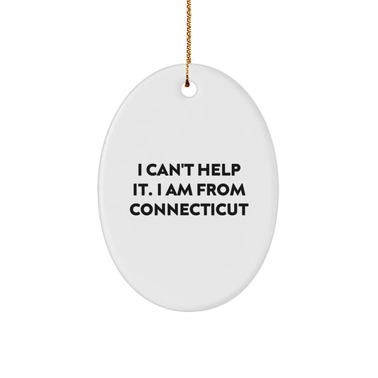 Connecticut Oval Ornament Funny Quote Gifts from Men to Women Friends Family for Christmas Unique Decorations - Image 1