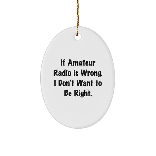 Amateur Radio Enthusiasts Gifts from Friends for Christmas - Oval Ornament with Funny Quote - Image 1