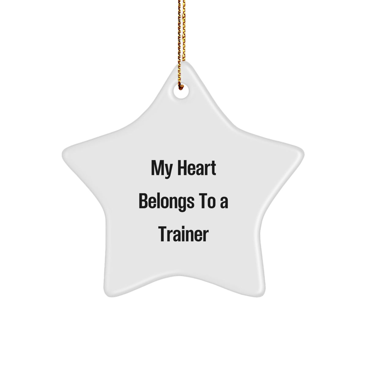 Funny Trainer Star Ornament Gifts from Friends, Christmas Unique Trainer Decorations, Trainer Lover Quote Star Shaped Gift - Image 1