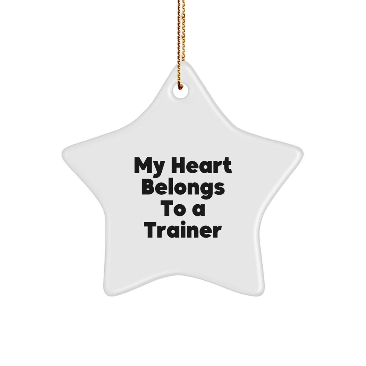 Funny Trainer Quotes Star Ornament Gifts from Men to Friends for Christmas Unique Trainer Decor - Image 1