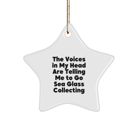 Funny Sea Glass Collecting Gifts from Friends to Family - Sea Glass Collecting Star Ornament for Wall Decoration - Image 1