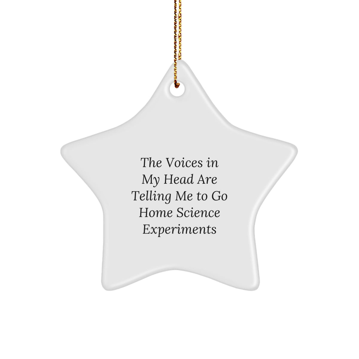Gifts from Family for Home Science Experiments Enthusiasts - Funny Star Ornament with Inspirational Quote - White Star Shaped Decoration for Christmas Unique Gifts - Image 1