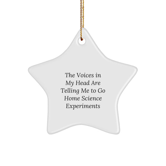 Gifts from Family for Home Science Experiments Enthusiasts - Funny Star Ornament with Inspirational Quote - White Star Shaped Decoration for Christmas Unique Gifts - Image 1