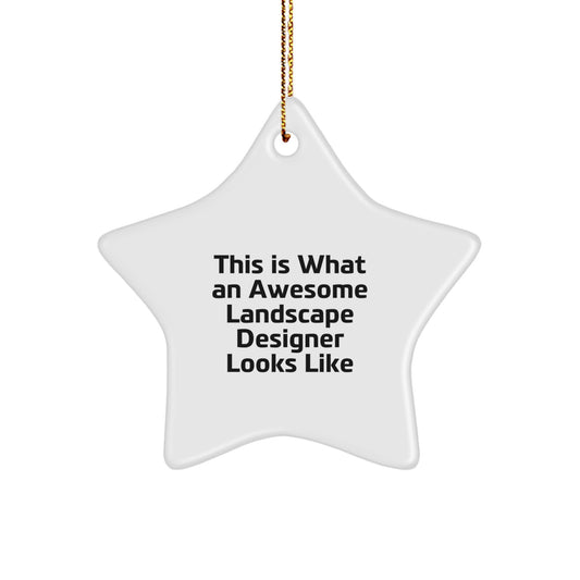 Funny Landscape Designer Star Ornament Gifts from Friends, Christmas Unique Gifts for Landscape Designer - Image 1