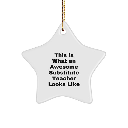 Funny Substitute Teacher Gifts from Friends - This Is What An Awesome Star Ornament Looks Like, Christmas Unique Presents for Substitutes - Image 1
