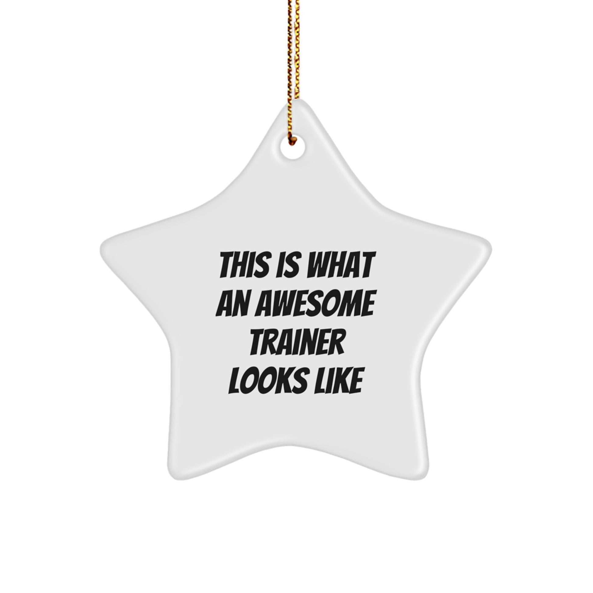 Funny Trainer Gifts from Friends, This Is What An Awesome Trainer Looks Like, Star Ornament for Christmas - Image 1