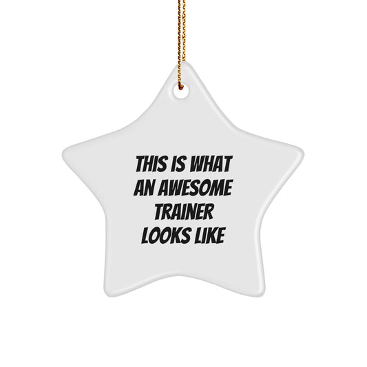 Funny Trainer Gifts from Friends, This Is What An Awesome Trainer Looks Like, Star Ornament for Christmas - Image 1