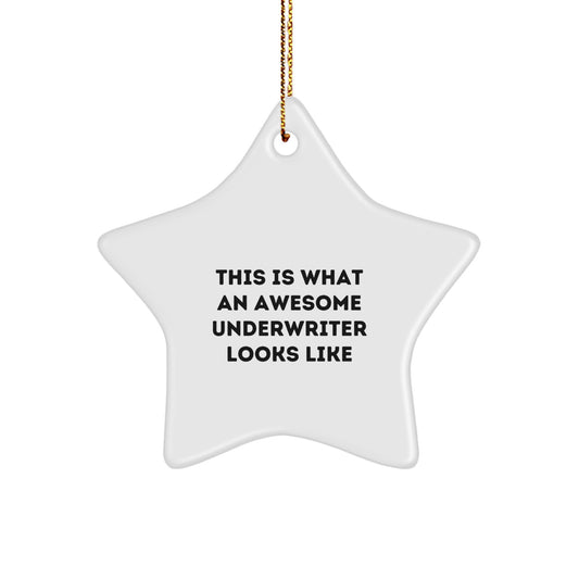 Funny Underwriter Gifts, Star Ornament with Quote This Is What An Awesome Underwriter Looks Like, Christmas Unique Gifts from Friends to Underwriter - Image 1