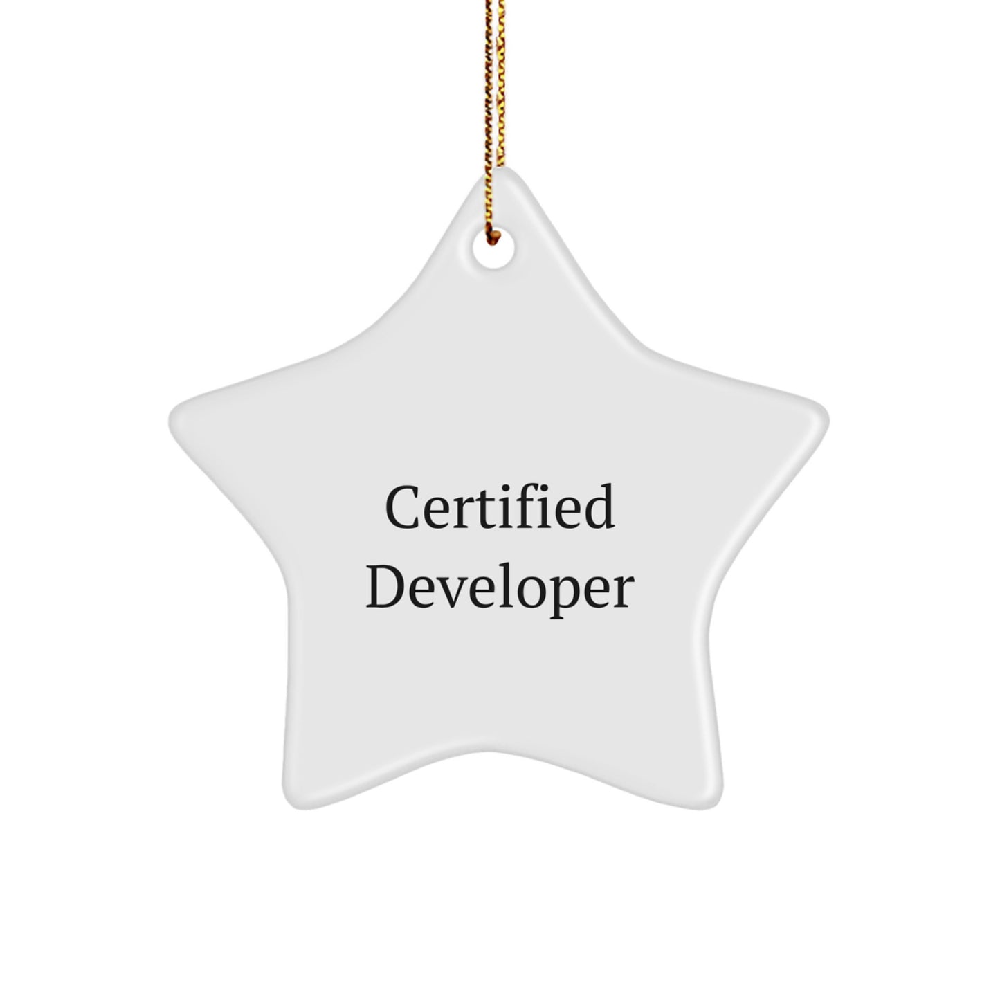 Developer Gifts from Friends - Funny 'You're a Star' Star Ornament for Christmas - Image 1