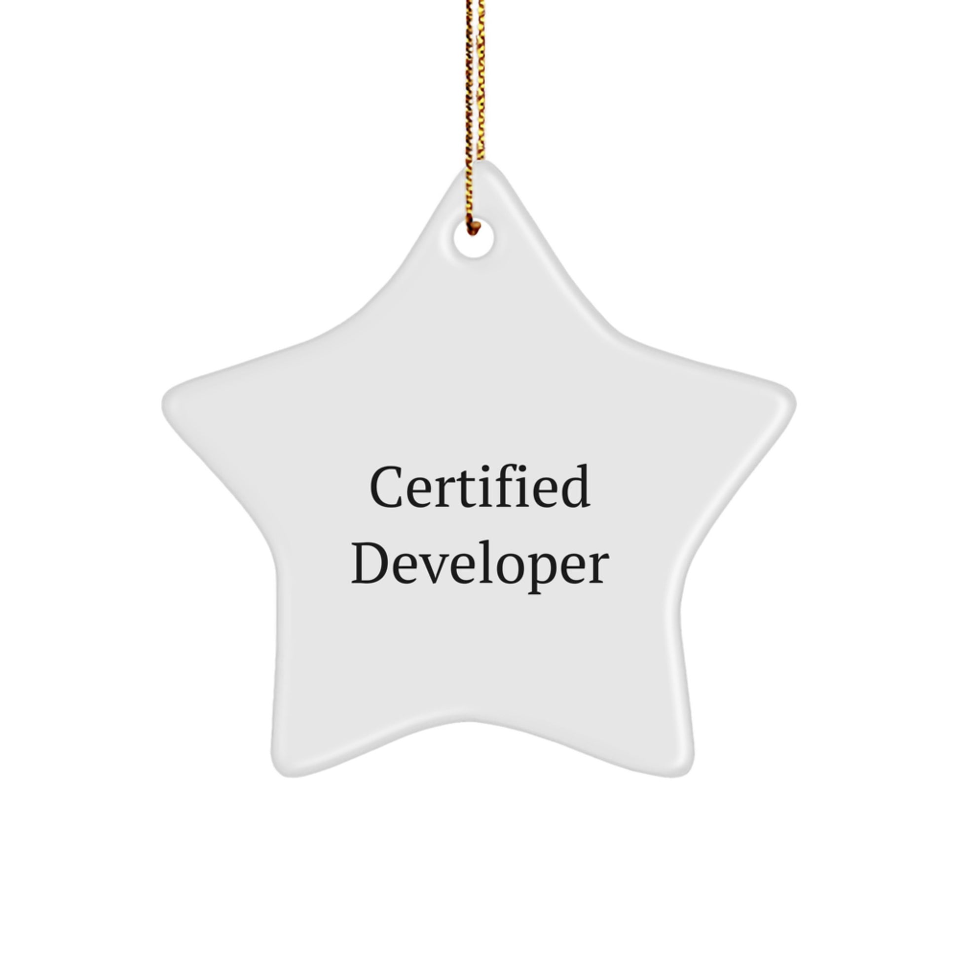 Developer Gifts from Friends - Funny 'You're a Star' Star Ornament for Christmas - Image 1