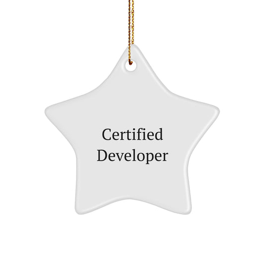 Developer Gifts from Friends - Funny 'You're a Star' Star Ornament for Christmas - Image 1