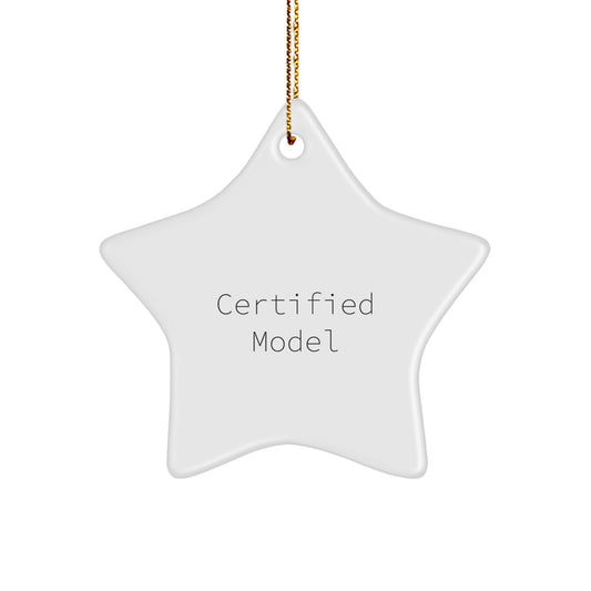 Funny Gifts from Model Fans for Christmas - Star Ornament Quote Certified Model Star Gifts for Model Enthusiasts - Image 1