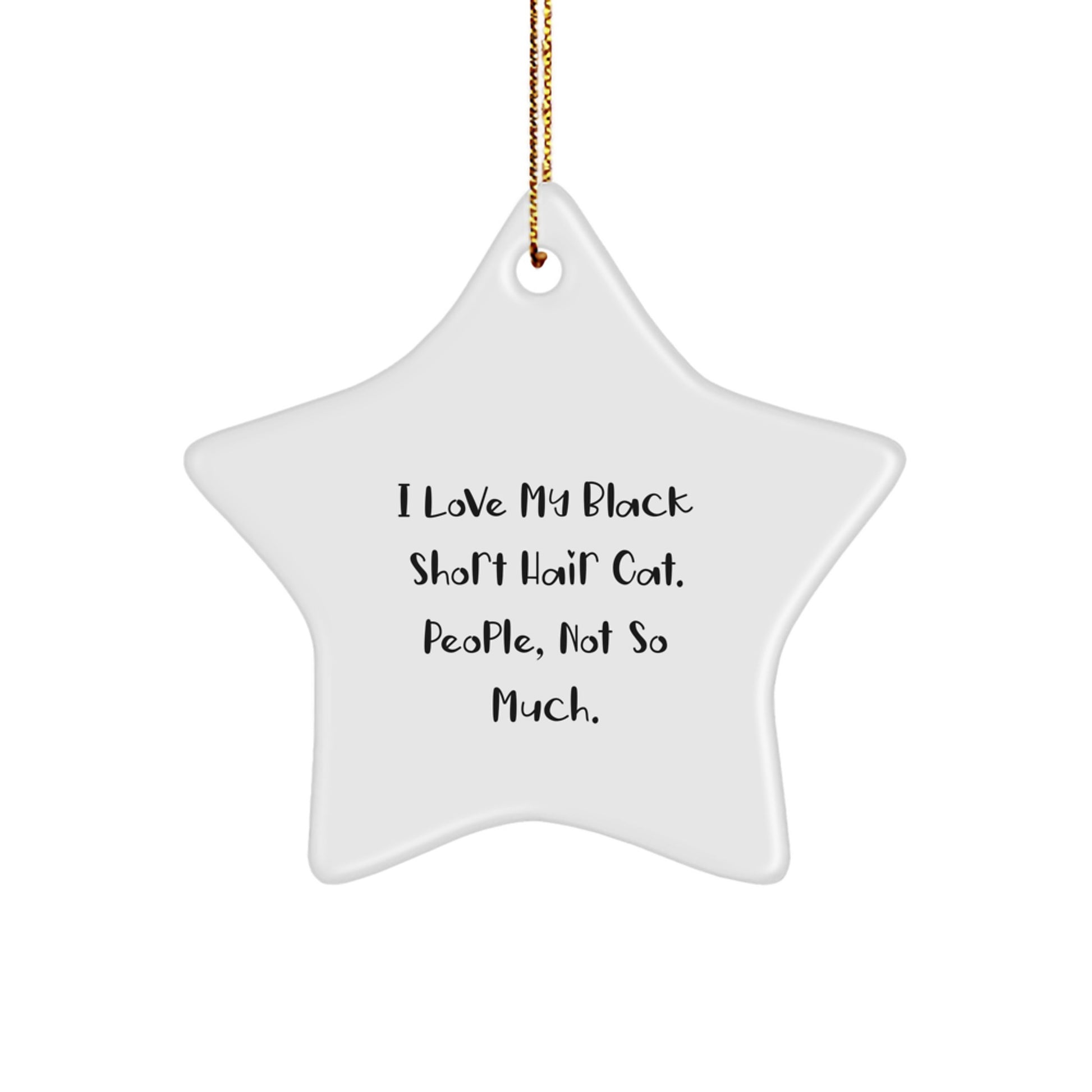 Funny Black Short Hair Cat Star Ornament Gifts from Friends for Black Short Hair Cat Lovers This Christmas - Image 1
