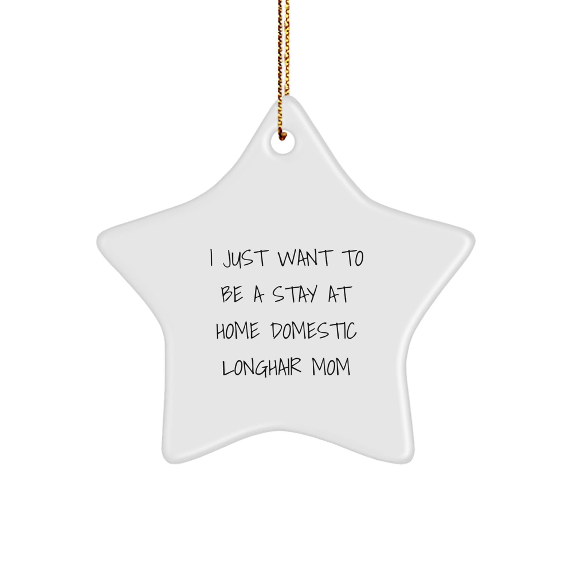 Domestic Longhair Cat Mom's Star Gift, I Just Want To Be A Stay At Home, Christmas Unique Gifts from Family to Friends - Image 1