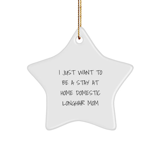Domestic Longhair Cat Mom's Star Gift, I Just Want To Be A Stay At Home, Christmas Unique Gifts from Family to Friends - Image 1