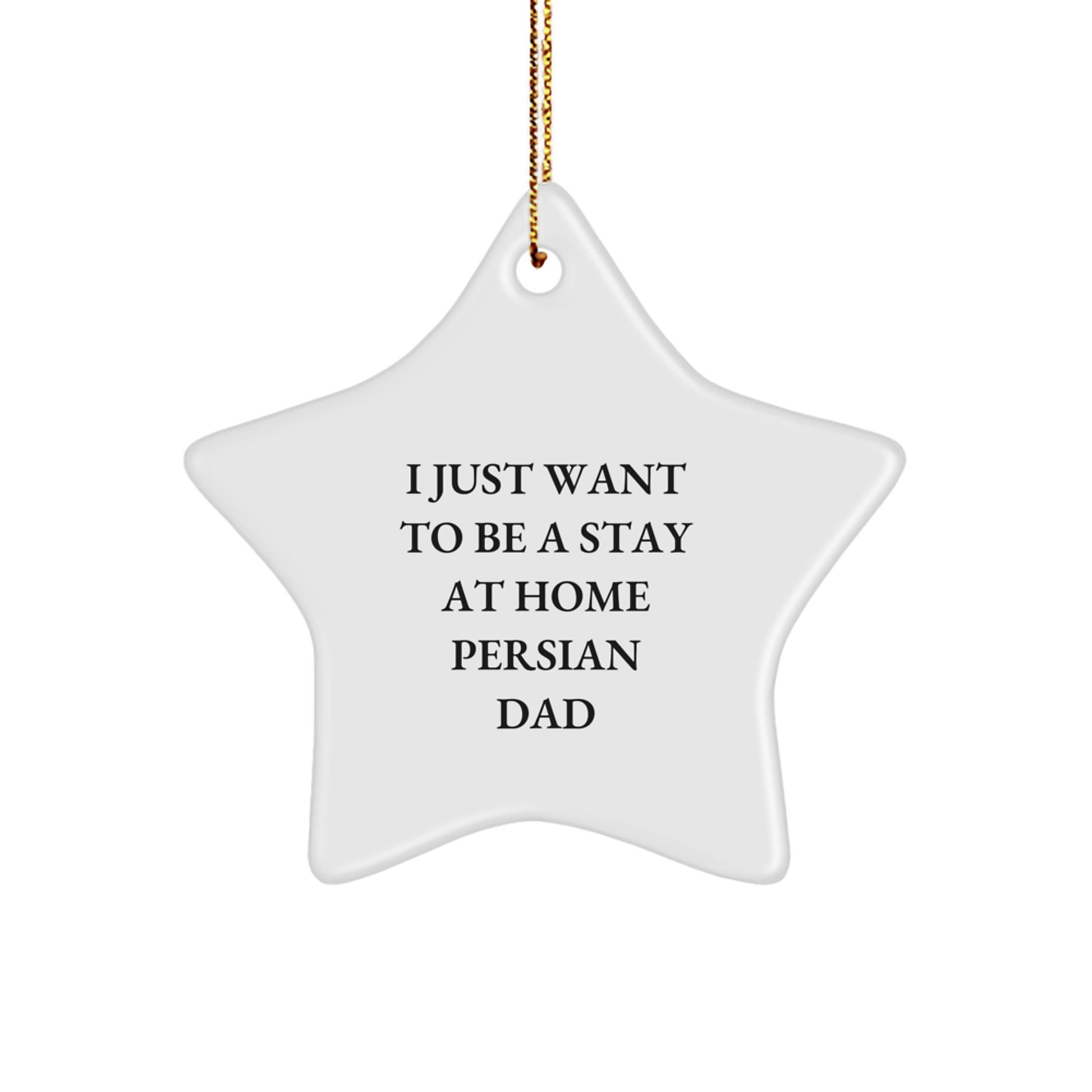 Funny Persian Cat Gifts for Men - I Just Want To Be A Stay At Home Dad Star Ornament, Christmas Unique Presents from Friends or Family - Image 1