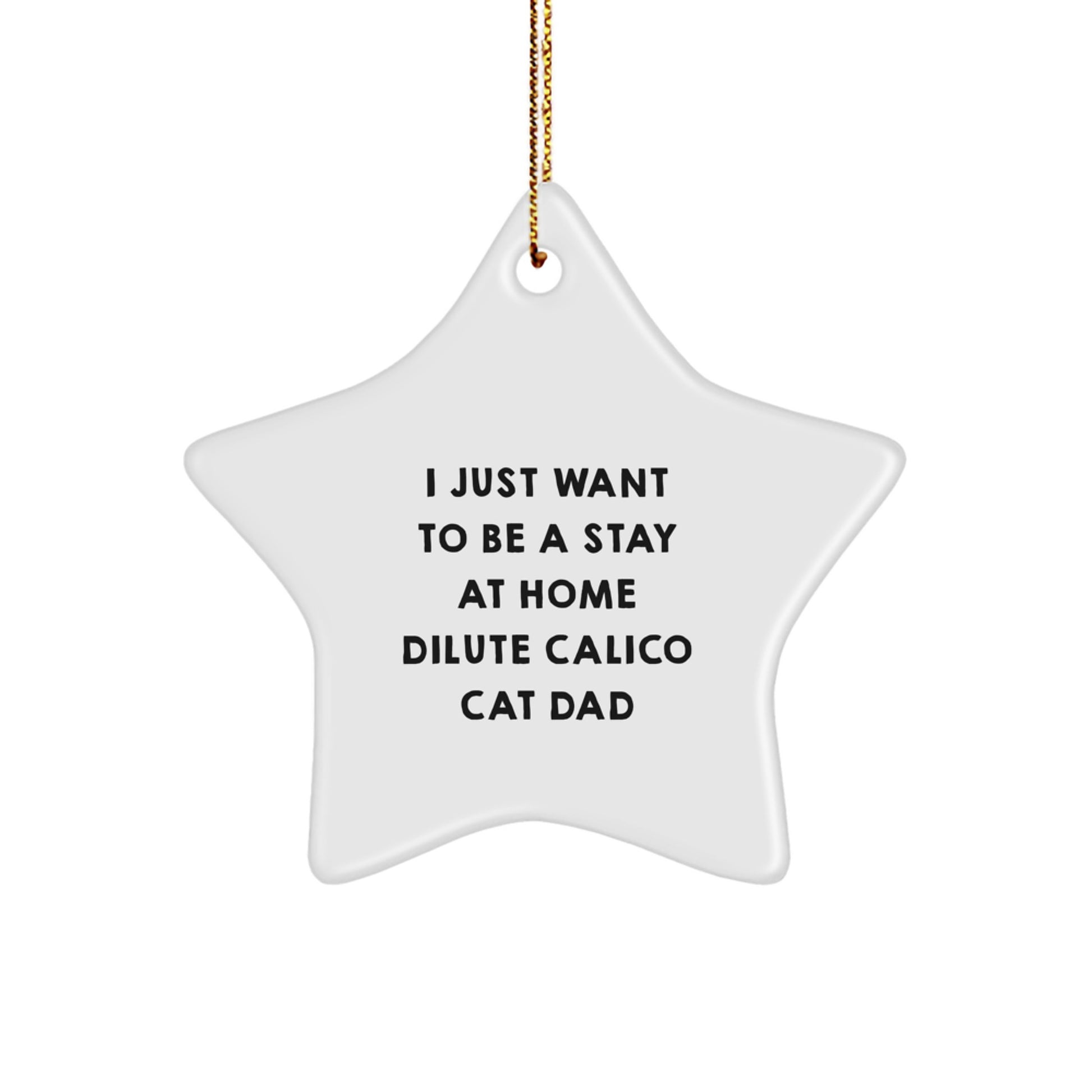 Dilute Calico Cat Dad Gifts, Star Ornament, I Just Want To Be A Stay At Home, Christmas Unique Gifts for Friends, Family, or Coworkers - Image 1