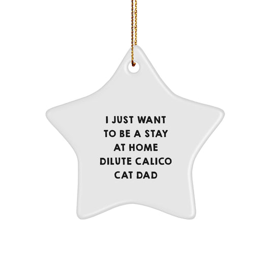 Dilute Calico Cat Dad Gifts, Star Ornament, I Just Want To Be A Stay At Home, Christmas Unique Gifts for Friends, Family, or Coworkers - Image 1